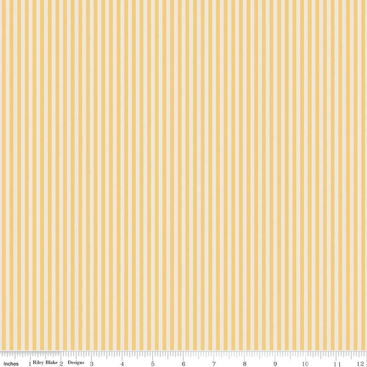 1/8" Stripe on Ivory Honey