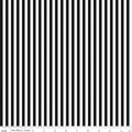1/4" Stripe Black