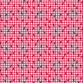 Ants On Gingham